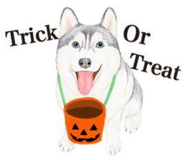 Siberian Husky Sticker (English) sticker #5550256