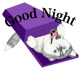 Siberian Husky Sticker (English) sticker #5550258