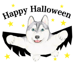 Siberian Husky Sticker (English) sticker #5550259