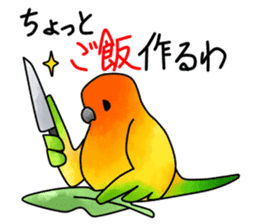 Sun Conure (birds) sticker #5550324