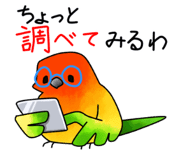 Sun Conure (birds) sticker #5550331