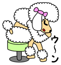 JIN-JIN Poodle Life sticker #5552719