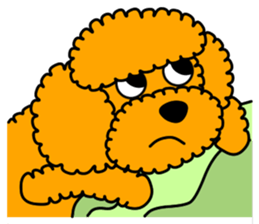 JIN-JIN Poodle Life sticker #5552745