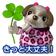 Funny Shih-Tzu 2