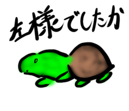 Every day of a tortoise2 sticker #5557258