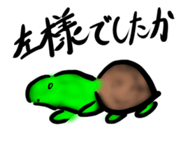 Every day of a tortoise2 sticker #5557258