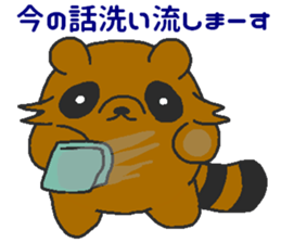 Raccoon wash sticker #5559068