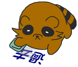 Raccoon wash sticker #5559069