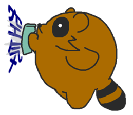 Raccoon wash sticker #5559070