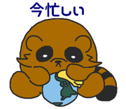 Raccoon wash sticker #5559071