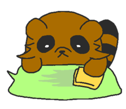 Raccoon wash sticker #5559072