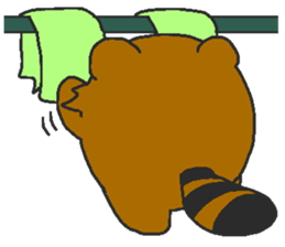 Raccoon wash sticker #5559078