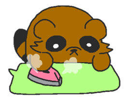 Raccoon wash sticker #5559079