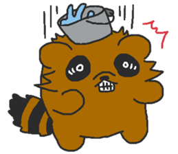 Raccoon wash sticker #5559081