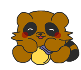 Raccoon wash sticker #5559085