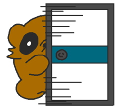 Raccoon wash sticker #5559091