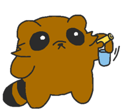 Raccoon wash sticker #5559092