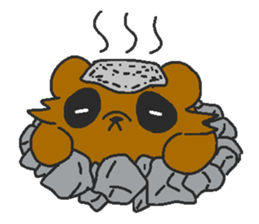 Raccoon wash sticker #5559097