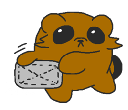 Raccoon wash sticker #5559104