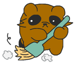 Raccoon wash sticker #5559105