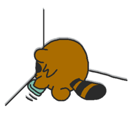 Raccoon wash sticker #5559107