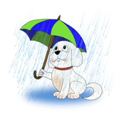 Bichon Buddy sticker #5560492