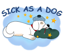 Bichon Buddy sticker #5560496