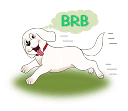Bichon Buddy sticker #5560503