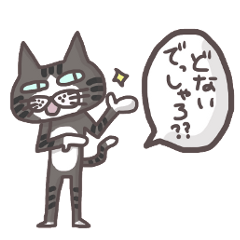 An "Alley Cat" with Kansai direct(vol.1)