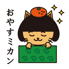 Every day wig cat Second edition