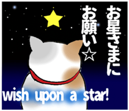 LUCKY Japanese CAT sticker #5563973