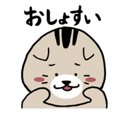 Lop-eared cat of Sendai, Miyagi Pref sticker #5564979