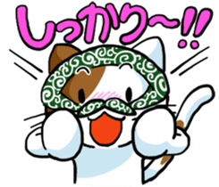 Theft Cat sticker #5565357