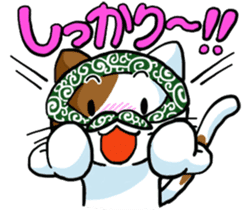 Theft Cat sticker #5565357