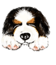 BERNESE MOUNTAIN DOG RIN VerSion1 sticker #5568588