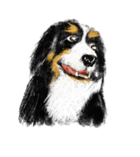 BERNESE MOUNTAIN DOG RIN VerSion1 sticker #5568589