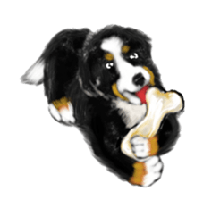 BERNESE MOUNTAIN DOG RIN VerSion1 sticker #5568590