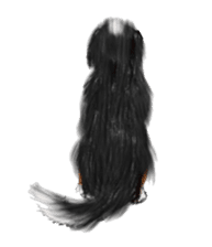 BERNESE MOUNTAIN DOG RIN VerSion1 sticker #5568593