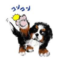 BERNESE MOUNTAIN DOG RIN VerSion1 sticker #5568595
