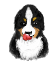 BERNESE MOUNTAIN DOG RIN VerSion1 sticker #5568596
