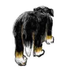 BERNESE MOUNTAIN DOG RIN VerSion1 sticker #5568600