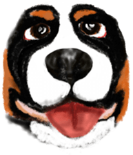 BERNESE MOUNTAIN DOG RIN VerSion1 sticker #5568601