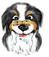 BERNESE MOUNTAIN DOG RIN VerSion1 sticker #5568605