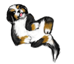 BERNESE MOUNTAIN DOG RIN VerSion1 sticker #5568606
