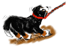 BERNESE MOUNTAIN DOG RIN VerSion1 sticker #5568607