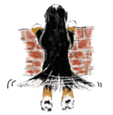 BERNESE MOUNTAIN DOG RIN VerSion1 sticker #5568608