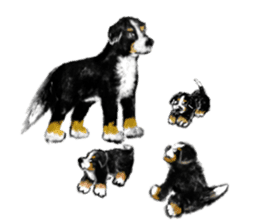 BERNESE MOUNTAIN DOG RIN VerSion1 sticker #5568625