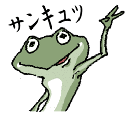 Frog seniors. sticker #5569227