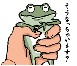 Frog seniors. sticker #5569231