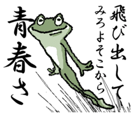 Frog seniors. sticker #5569243